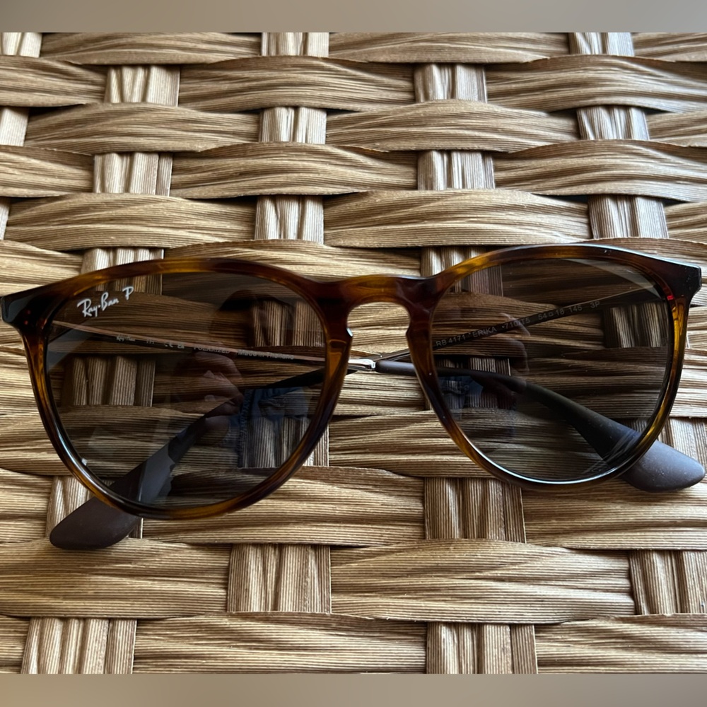 Ray-Ban Erika Sunglasses